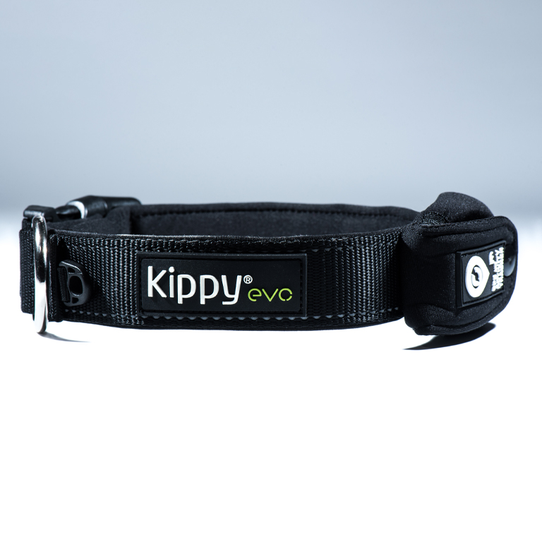 Collar regulable para Kippy Evo