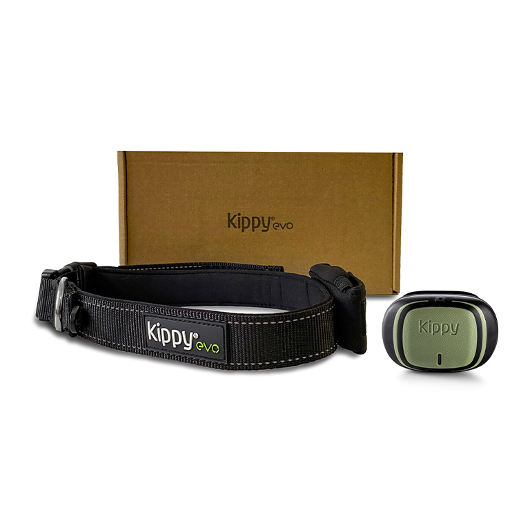 Kippy Evo Green Forest + Collar regulable