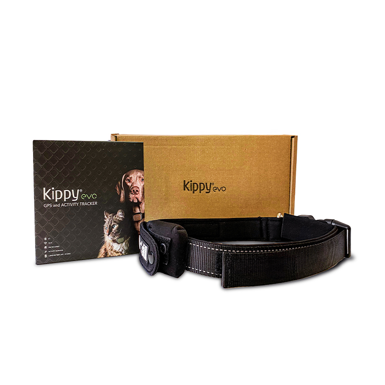 Kippy Evo Green Forest + Collar regulable