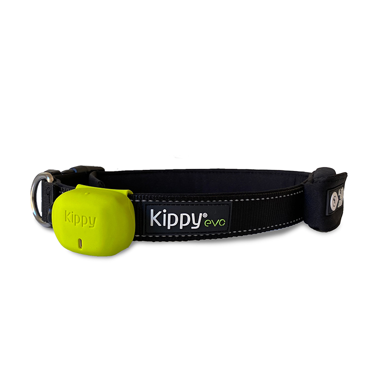 Cover in silicone per protezione Kippy EVO - verde